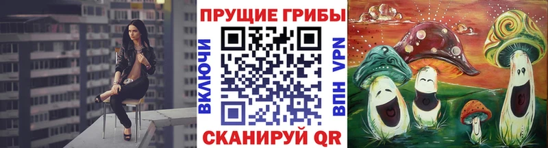 Галлюциногенные грибы Cubensis  Бугуруслан 